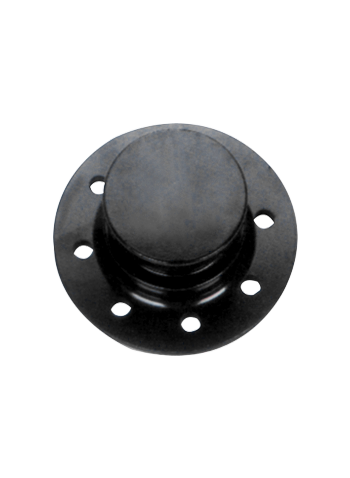 FA8066B KING PIN ONLY